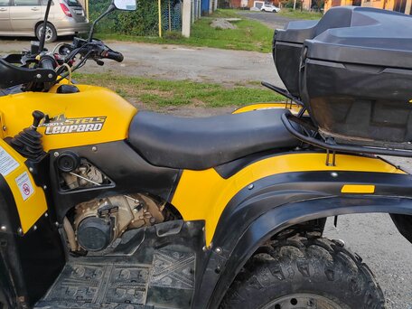2020 Stels ATV-500YS Leopard, жёлтый, 430000 рублей, вид 4