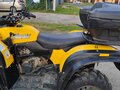 2020 Stels ATV-500YS Leopard, жёлтый, 430000 рублей - вид 3