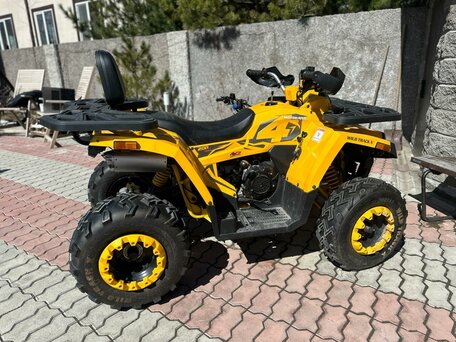 2023 Motoland Wild Track 200, жёлтый, 250000 рублей, вид 2