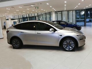 2025 Tesla Model Y Long Range I Рестайлинг, серый, 8000000 рублей, вид 4