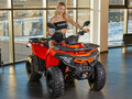 2025 Loncin XWolf 200, оранжевый, 279000 рублей - вид 3