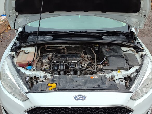 2015 Ford Focus III Рестайлинг, белый, 900000 рублей - вид 7