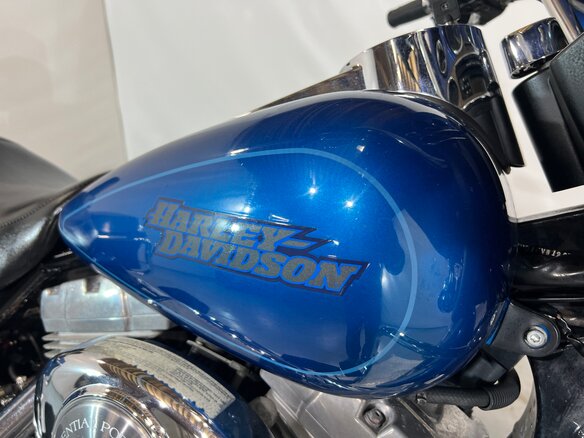 2006 Harley-Davidson Electra Glide, синий, 510000 рублей - вид 15