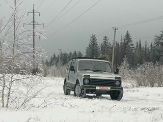 2006 Lada (ВАЗ) 2131 (4x4) I, серебристый, 370000 рублей, вид 3