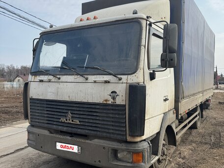 2010 МАЗ 4371, белый, 850000 рублей, вид 2