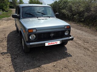 2010 Lada (ВАЗ) 2131 (4x4) I, серый, 550000 рублей, вид 3
