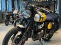 2026 Royal Enfield Bear 650, жёлтый, 737000 рублей - вид 1