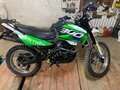 2023 Racer Panther, зелёный, 135000 рублей - вид 3