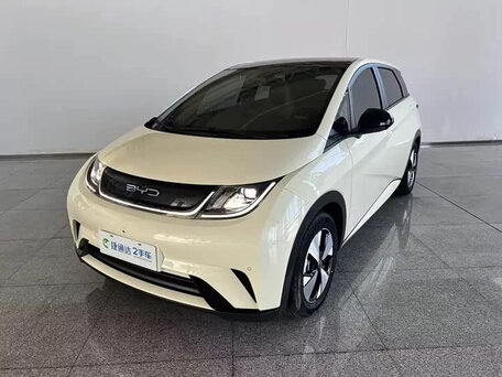 BYD Dolphin I