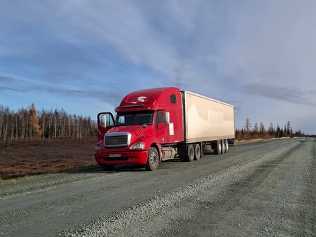 2002 Freightliner Columbia, красный, 1490000 рублей, вид 2