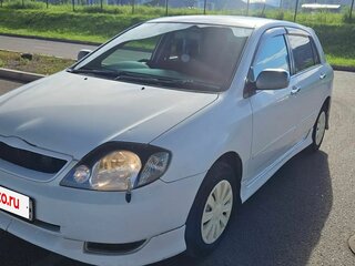 2001 Toyota Allex I, белый, 610000 рублей, вид 2
