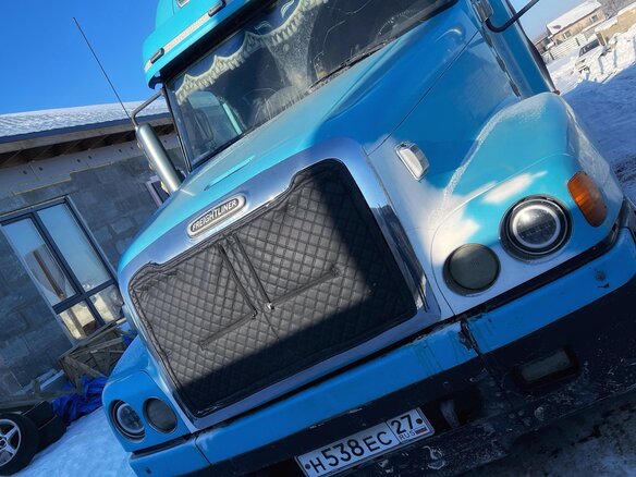 2009 Freightliner Century Class, голубой, 3500000 рублей - вид 7