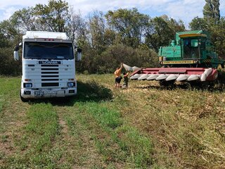 1994 Scania 3-Series, белый, 1800000 рублей, вид 4