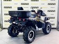 2026 Stels ATV-800 Guepard Trophy, бежевый - вид 4