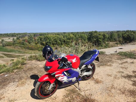 1999 Honda CBR 600F, красный, 350000 рублей, вид 1