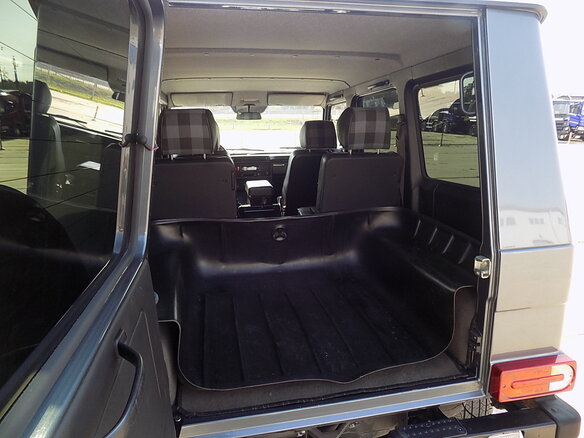 2011 Mercedes-Benz G-Класс 300 Professional I (W461) Professional, серый - вид 19