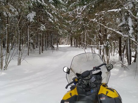 2011 Ski-Doo Skandic, жёлтый, 1150000 рублей, вид 4