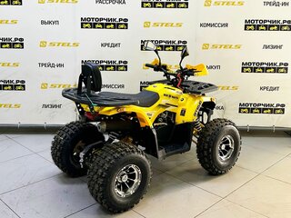 2025 Bison Miravel 125, жёлтый, 89900 рублей, вид 5