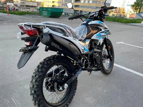 2025 Motoland Enduro 250, белый, 160800 рублей, вид 4