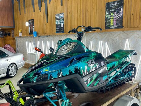 2010 Arctic Cat M-Series, зелёный, 999000 рублей, вид 3