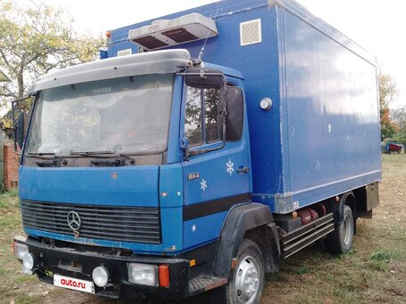 1993 Mercedes-Benz 814, синий, 900000 рублей, вид 4