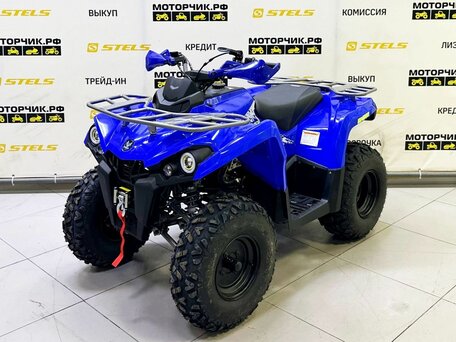 2025 Bison ATV200, синий, 218990 рублей, вид 1