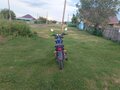 2022 Racer Tiger, синий, 75000 рублей