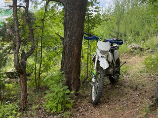 2021 Kayo K1 250 MX, белый, 79999 рублей, вид 2