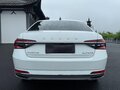 2023 Skoda Superb III Рестайлинг, белый, 2350000 рублей - вид 5