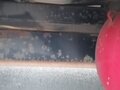 2020 ГАЗ ГАЗель (2705), белый, 1050000 рублей - вид 11