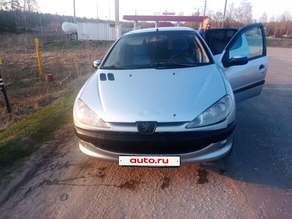 2006 Peugeot 206, серый, 175000 рублей