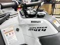 2025 Bashan Explorer 320, серый, 549000 рублей - вид 10