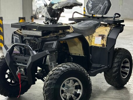 2025 Motoland Wild Track 200 X Pro, чёрный, 230000 рублей, вид 3