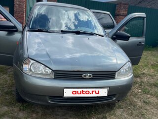 2009 Lada (ВАЗ) Kalina I, серый, 250000 рублей, вид 1