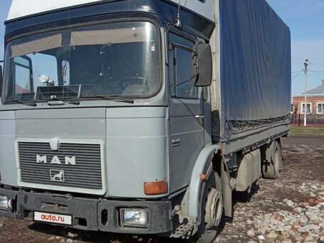 1987 MAN 19, серый, 520000 рублей, вид 3