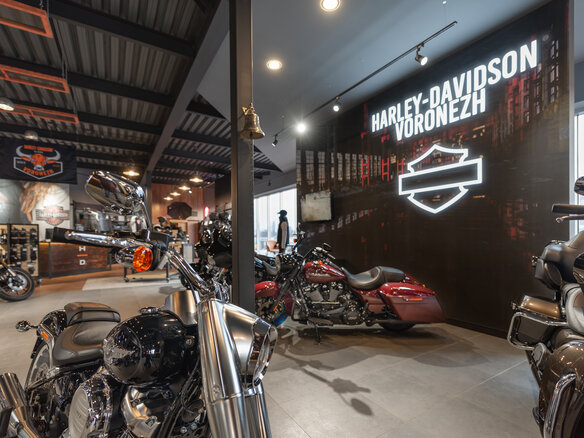 2020 Harley-Davidson Road Glide, коричневый - вид 14