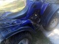 2002 Armada RT-50, синий, 80000 рублей - вид 2