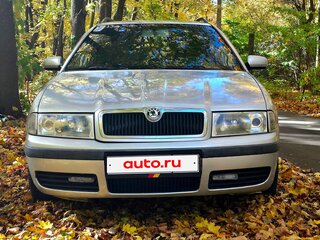 2002 Skoda Octavia I (A4) Рестайлинг, серебристый, 275000 рублей, вид 2