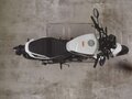2024 Harley-Davidson X350, белый, 705000 рублей - вид 7
