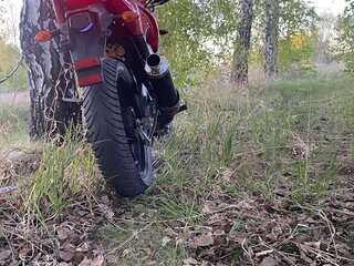 Rokon Ranger