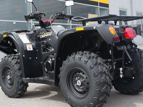 2019 Stels ATV-500YS Leopard, чёрный, 569000 рублей, вид 3