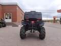 2017 Stels ATV-650 Guepard Trophy, коричневый - вид 3