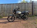 2025 Racer Alpha, серый