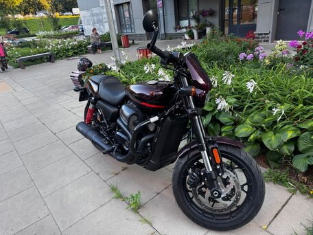 2019 Harley-Davidson Street Rod, красный, 825000 рублей, вид 2