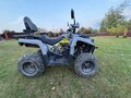 2024 Bison Hammer 200, серый, 150000 рублей - вид 4
