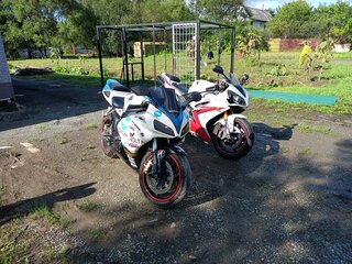 2007 Honda CBR 1000 RR/RA Fireblade, белый, 700000 рублей, вид 5