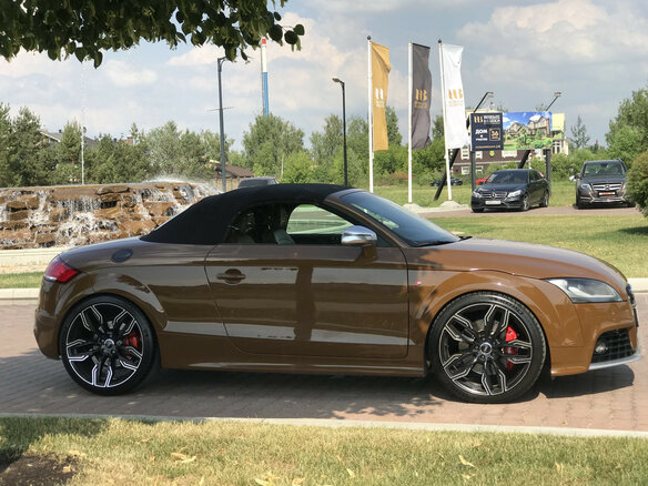 2009 Audi TTS II (8J), коричневый - вид 15