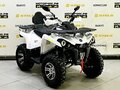 2025 Bison ATV200, чёрный - вид 3