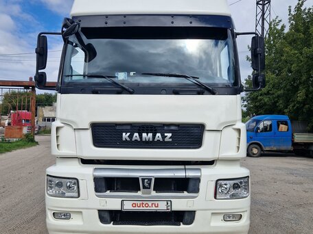 2018 КамАЗ 5490 NEO, белый, 2200000 рублей, вид 5