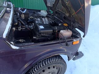 2005 Lada (ВАЗ) 2121 (4x4) I Рестайлинг, фиолетовый, 300000 рублей, вид 4
